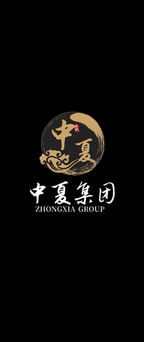 中夏投資集團 信息技術咨詢服務的領航者